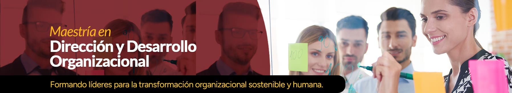 Maestría en Dirección y Desarrollo Organizacional