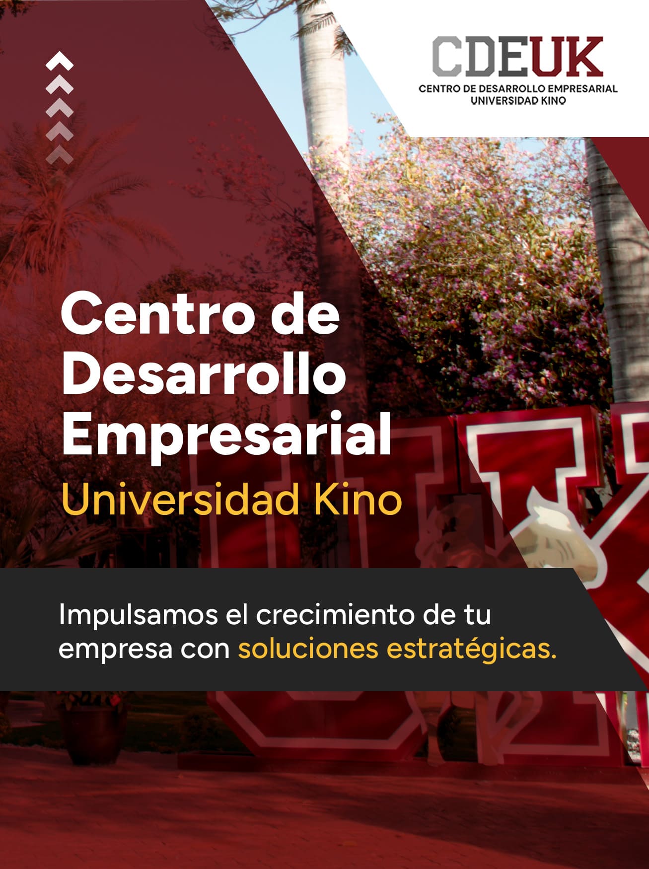 Centro de Desarrollo Empresarial